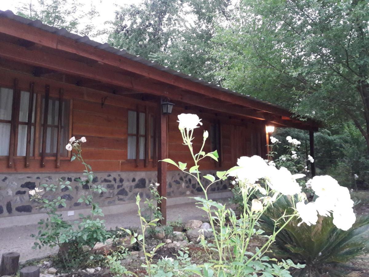 Cabanas Brisas Del Bosque Hotell Villa Ciudad Parque Eksteriør bilde